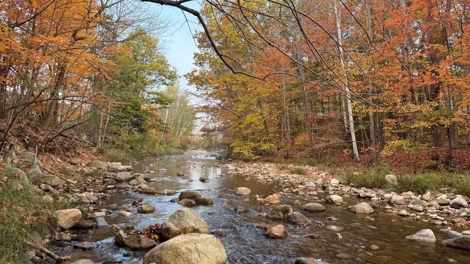 A shallow, rocky New Hampshire river running through autumn woods
