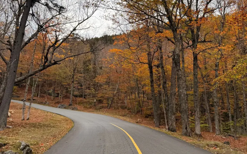 Winding paved road through fall foliage in New Hampshire
